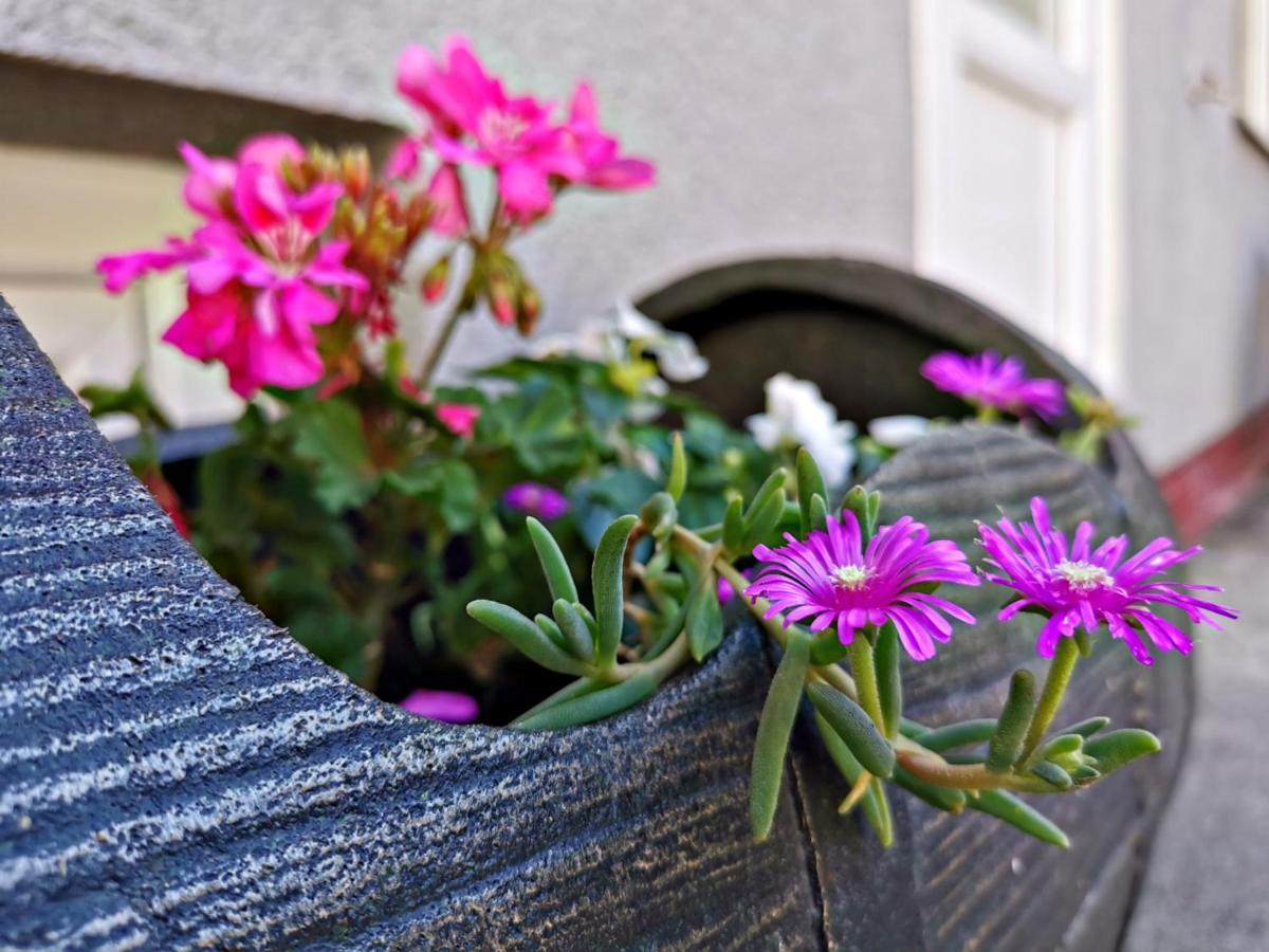 Apartment Slavonska Kuca Pleternica Kültér fotó